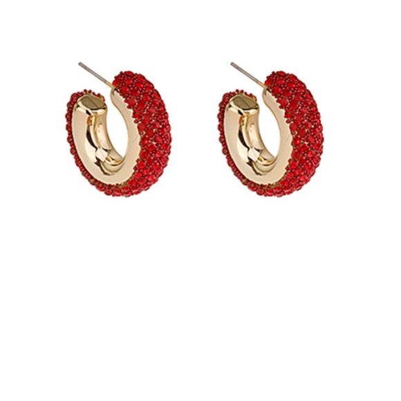 Pave Crystal Hoops - Picture 4 of 6
